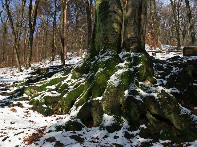 pict1832.jpg