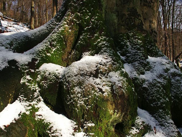 pict1839.jpg