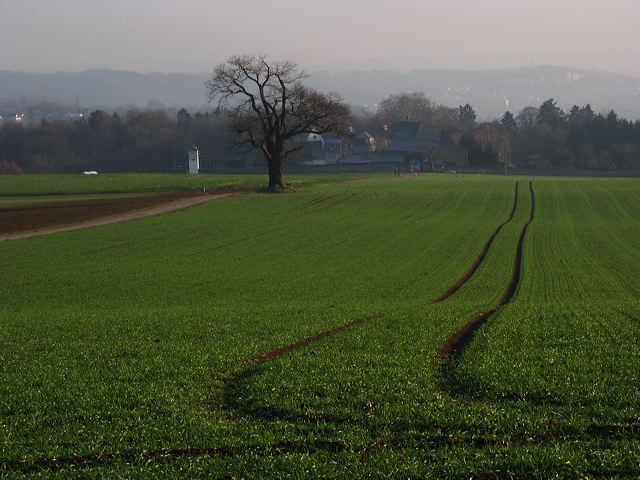 rommersdorf_01.jpg