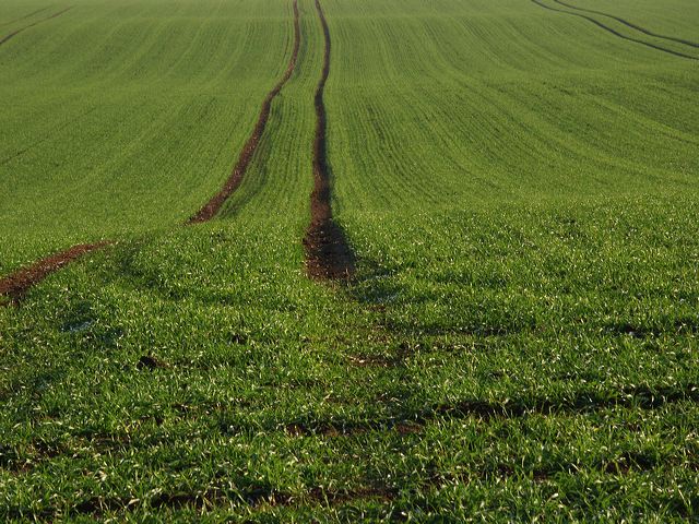 rommersdorfer_feld_01.jpg