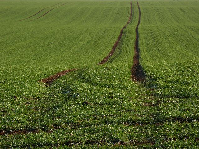 rommersdorfer_feld_02.jpg