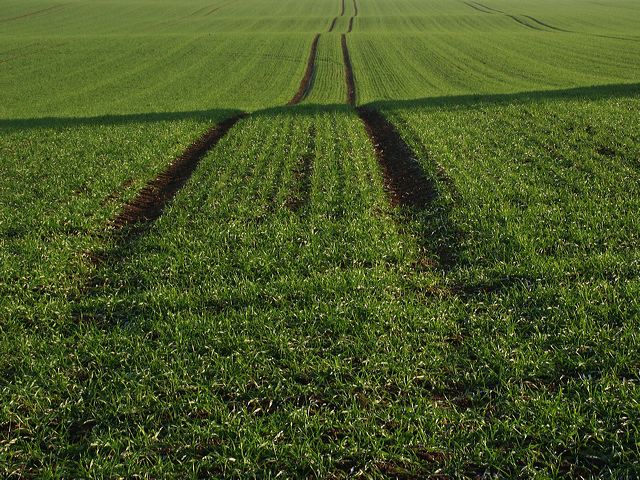 rommersdorfer_feld_05.jpg