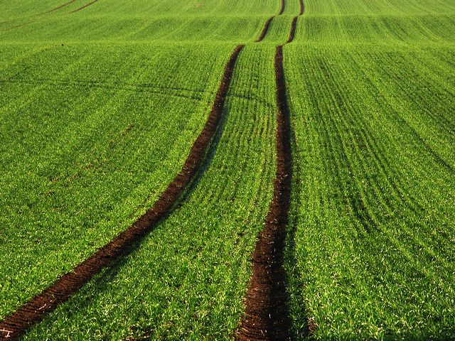 rommersdorfer_feld_07.jpg