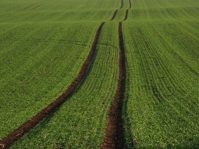 rommersdorfer_feld_08.jpg
