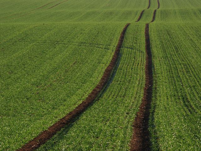 rommersdorfer_feld_09.jpg