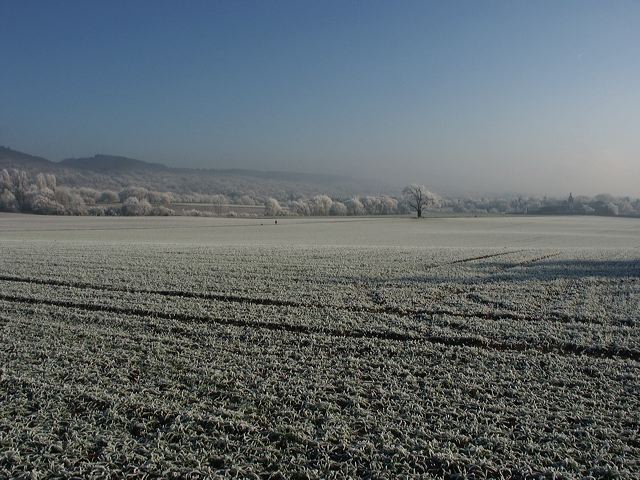 rommersdorfer_felder_01.jpg