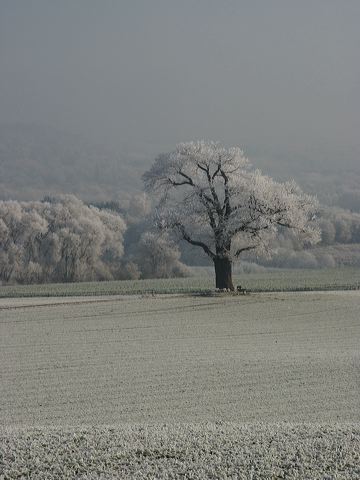 rommersdorfer_felder_06.jpg