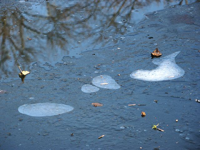 rommerssdorf_weiher_07.jpg
