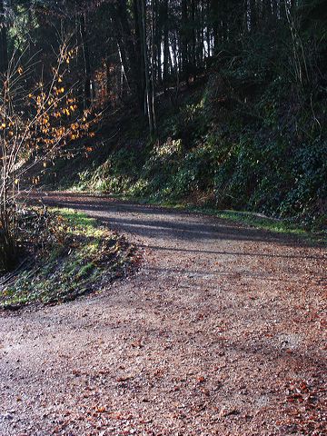 wald_11.jpg