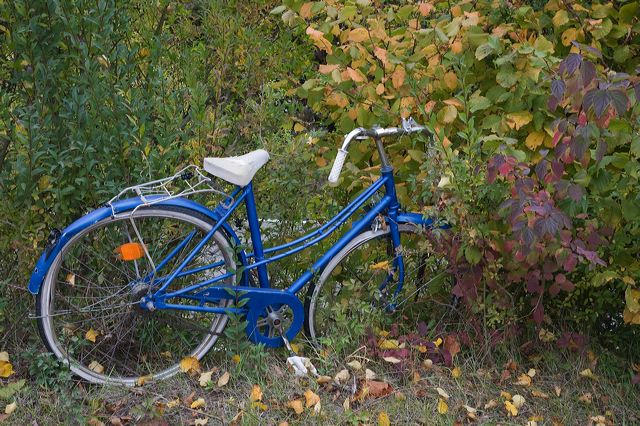 20081009_50_pfalz_fahrrad.jpg