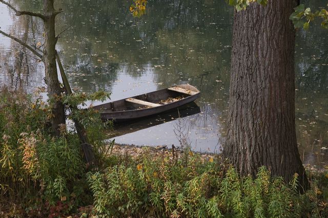 20081010_03_rheinfahre.jpg
