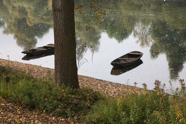 20081010_20_altrhein_boote.jpg