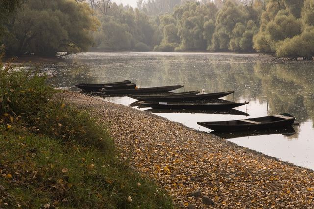 20081010_21_altrhein_boote.jpg