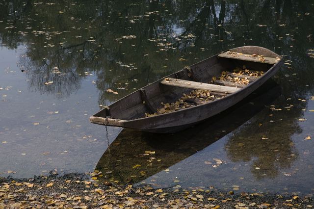20081010_23_altrhein_boot.jpg