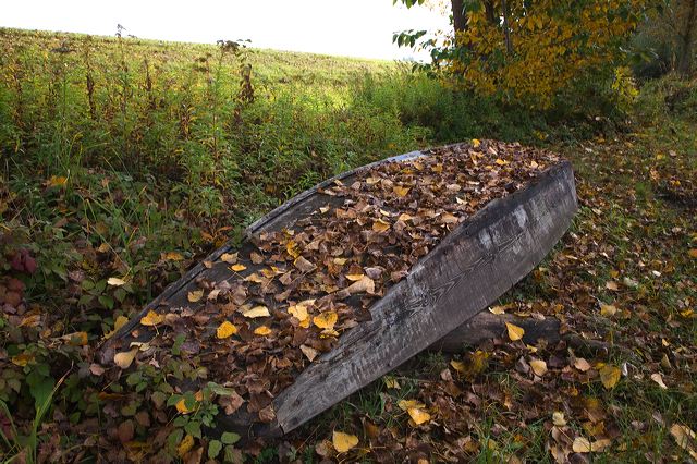 20081010_24_altrhein_boot.jpg