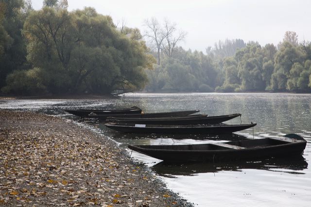 20081010_40_altrhein_boote.jpg
