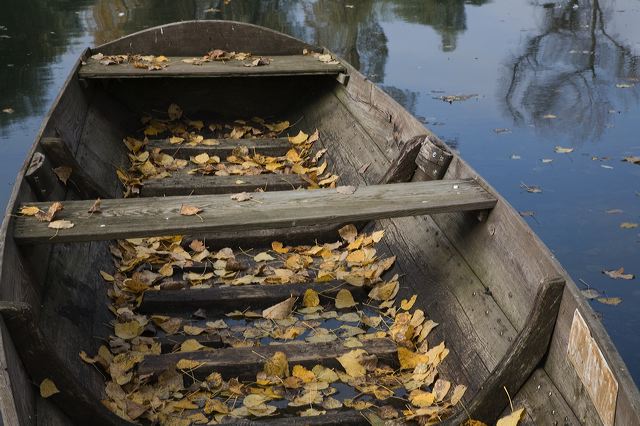 20081010_42_altrhein_boot.jpg