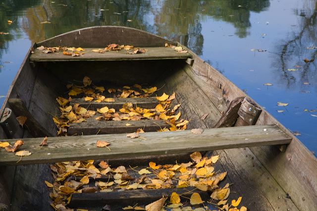 20081010_43_altrhein_b_c992.jpg