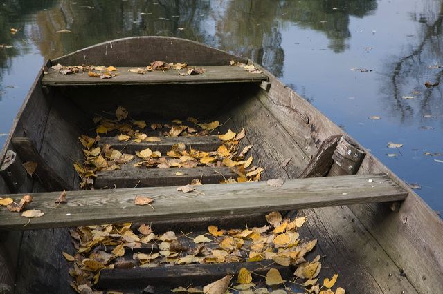 20081010_43_altrhein_boot.jpg