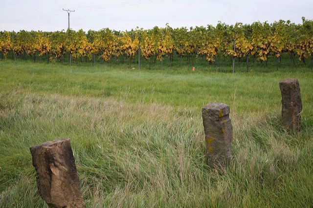 20081012_026_steinmark_e10c.jpg