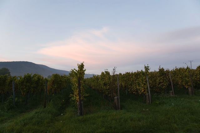 20081012_034_abenddammerung.jpg