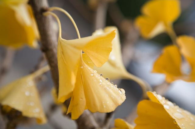 _mg_6987.jpg
