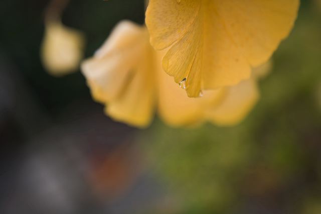 _mg_6991.jpg