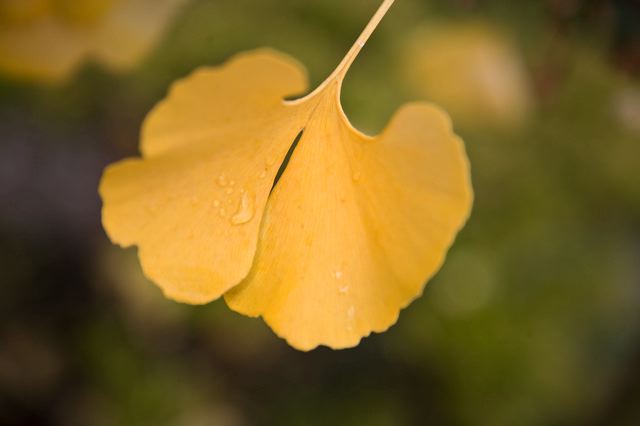 _mg_6992.jpg