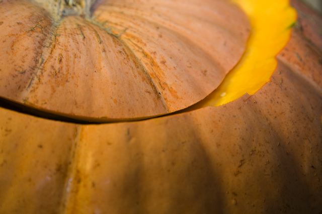 _mg_7008.jpg