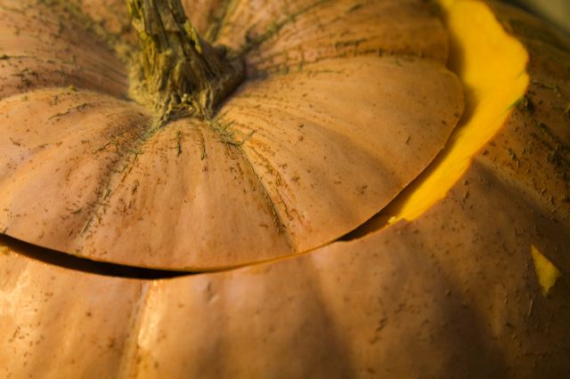 _mg_7010.jpg