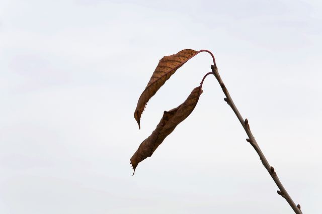 _mg_7256.jpg