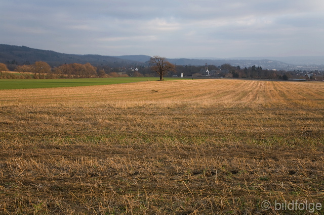 _mg_7942.jpg