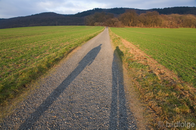 _mg_7948.jpg