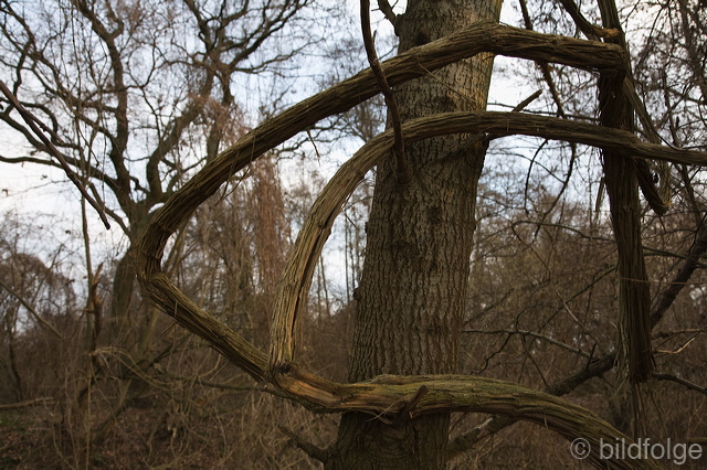 _mg_7951.jpg