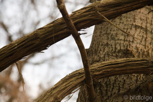 _mg_7953.jpg