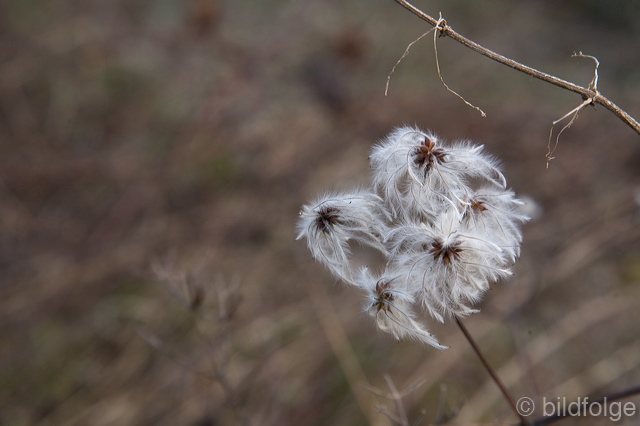 _mg_7957.jpg