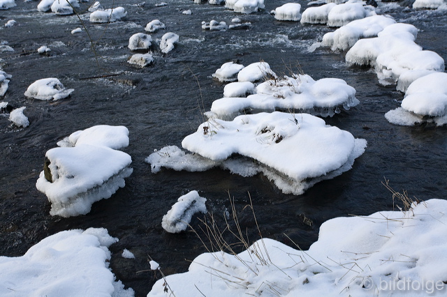 _mg_8022.jpg
