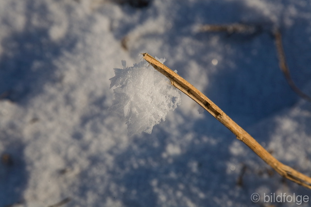 _mg_8116.jpg