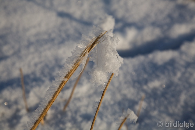 _mg_8120.jpg