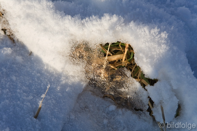 _mg_8123.jpg