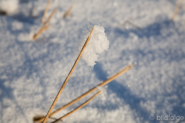 _mg_8124.jpg