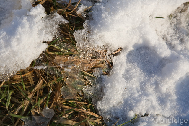 _mg_8157.jpg