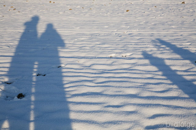 _mg_8159.jpg
