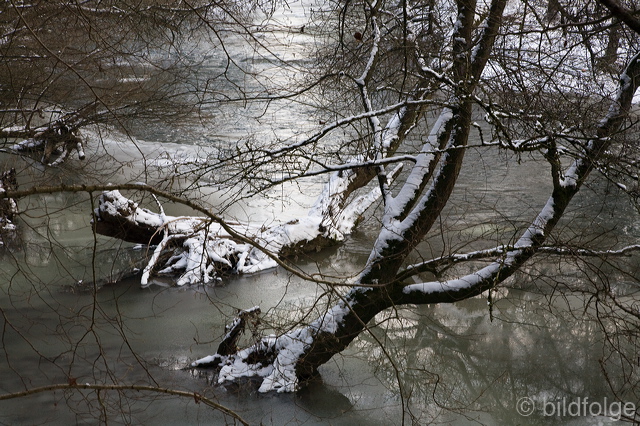 _mg_8193.jpg