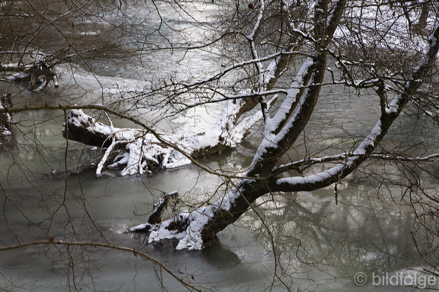 _mg_8194.jpg