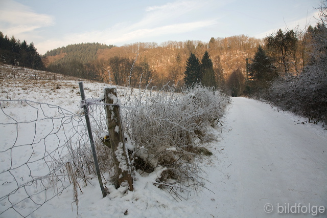_mg_8199.jpg