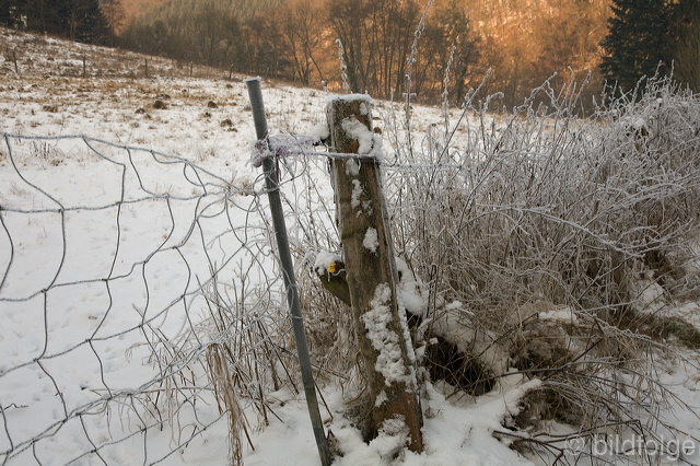_mg_8200.jpg