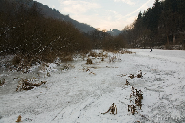 _mg_8215.jpg
