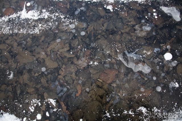 _mg_8258.jpg