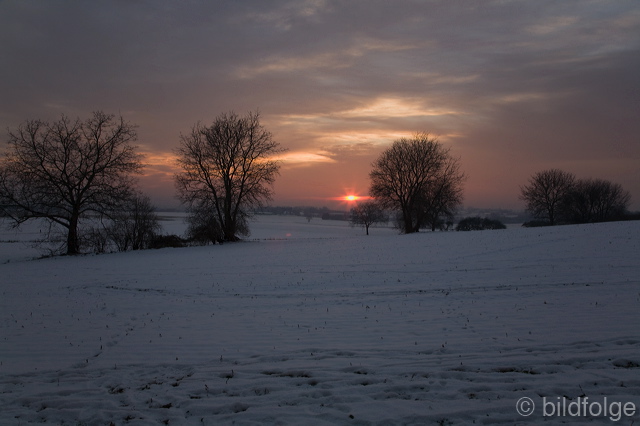 _mg_8270.jpg